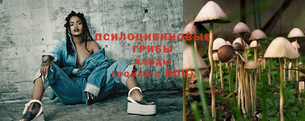 прущие крисы Абаза