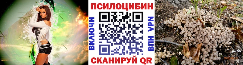 Псилоцибиновые грибы прущие грибы  Уржум 